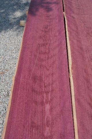 4/4 Purpleheart 10BF Lumber Pack