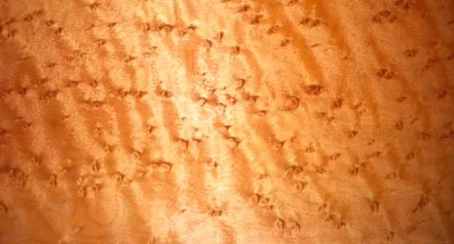 Image of Birdseye Maple Available for Online Ordering