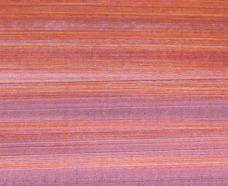 Bloodwood for Sale