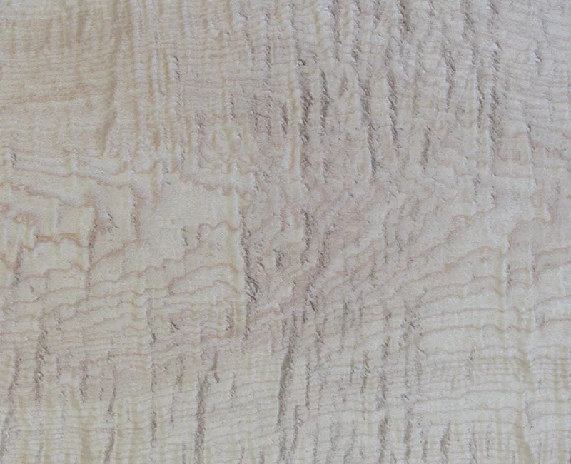 Curly Hard Maple Wood