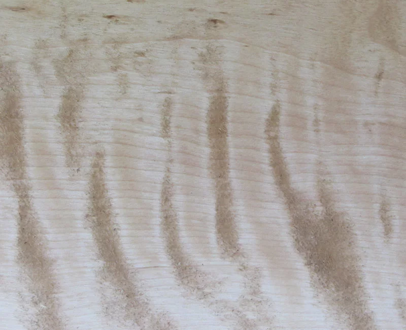 Figured Wood: Birch Flame