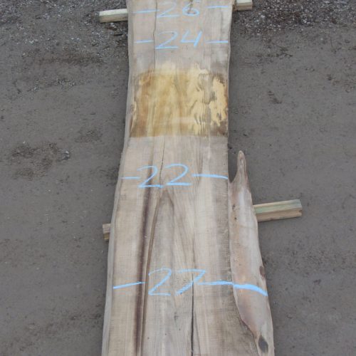 Maple Live Edge Slab 135D - CR Muterspaw Lumber