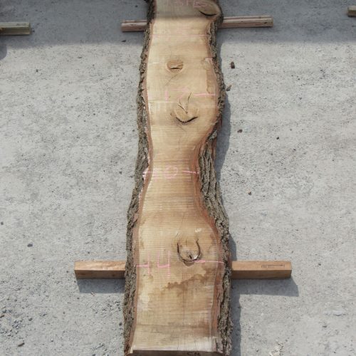 Wood Slabs for Sale