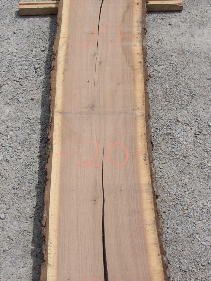 Walnut Live Edge Slab 158A