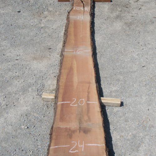 Buy Cherry Live Edge Slab 164A Online