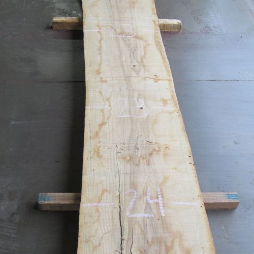 Ash Lumber for Sale