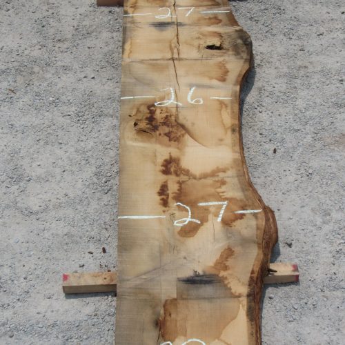 White Oak Live Edge Slab 178A