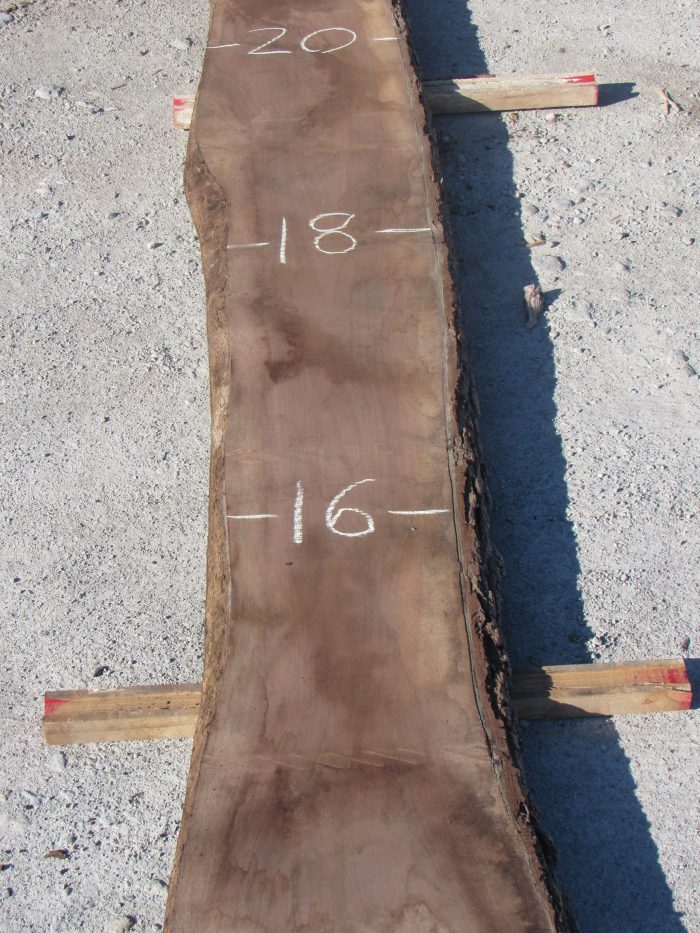 Walnut Live Edge Slab 186A for sale online