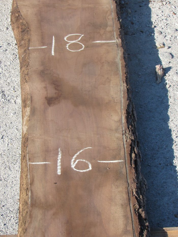 Buy Walnut Live Edge Slab 186A online