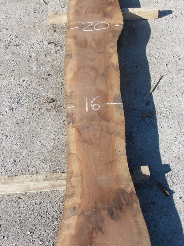 Shop for Walnut Live Edge Slabs