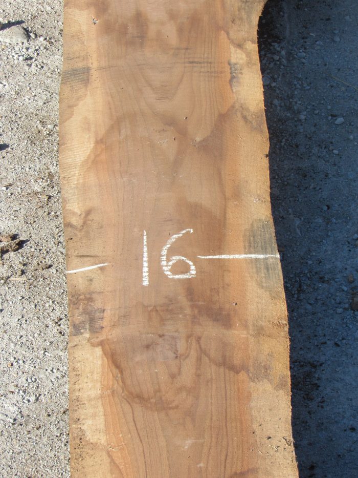 Walnut Live Edge Slab 186B