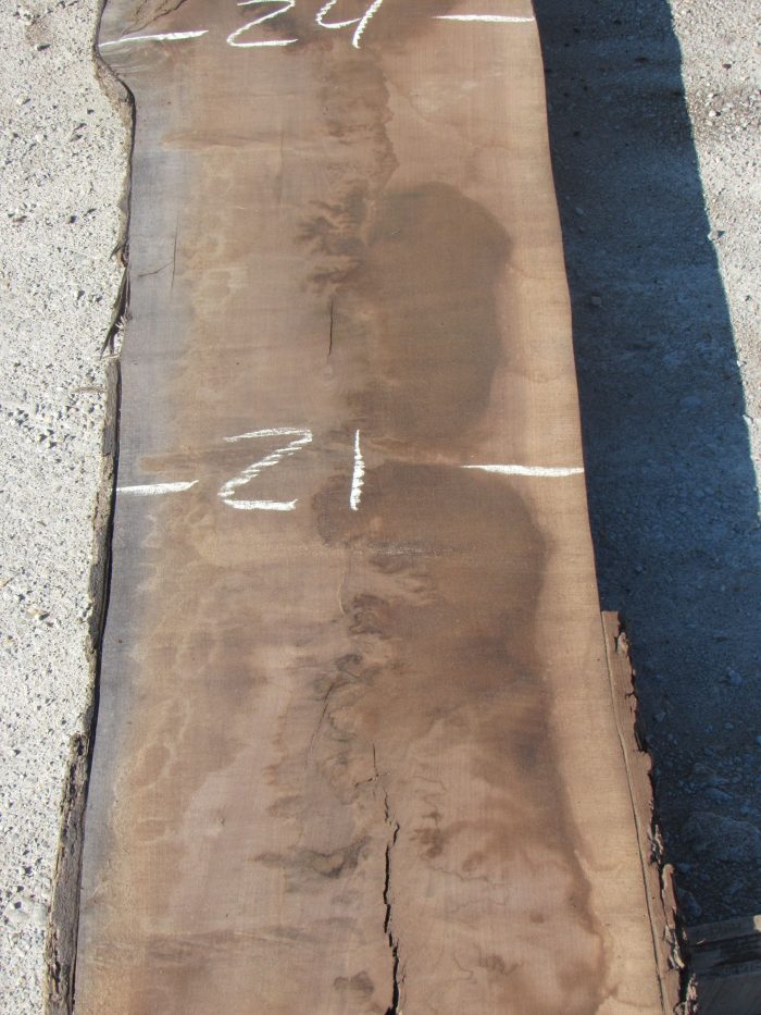 Walnut Live Edge Slab 186D