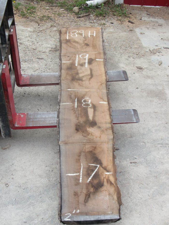 Buy Walnut Live Edge Slabs in Xenia, Ohio