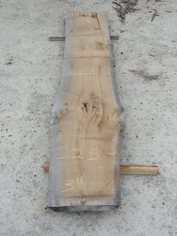 Hickory Live Edge Slab 191B for sale in Xenia, OH