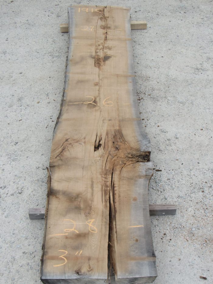 Hickory Live Edge Slab 191C